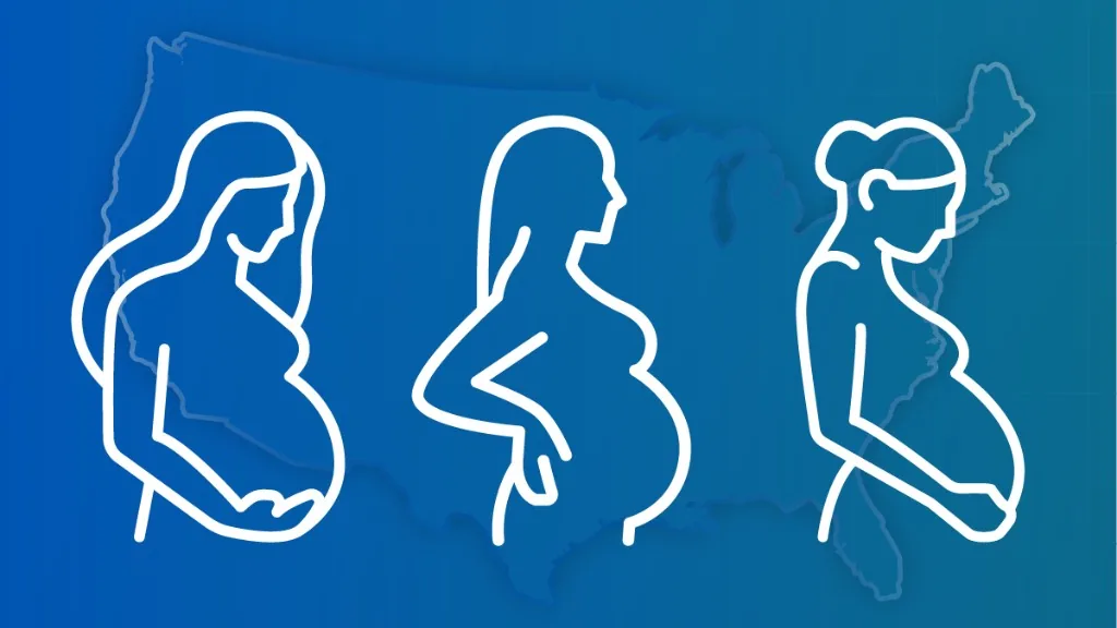 Fertility rates visual reference